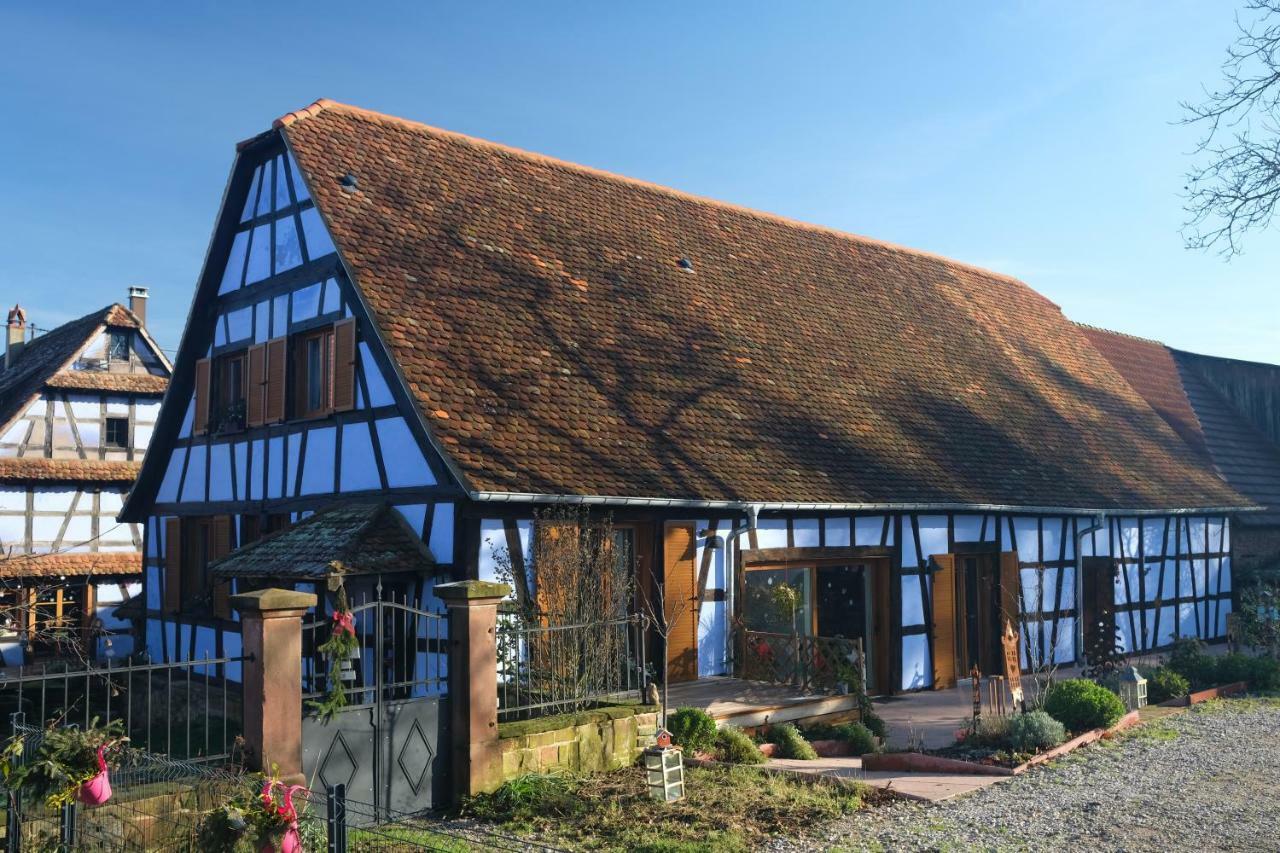 Le Clos Bleu - Gite Rural Schillersdorf 외부 사진
