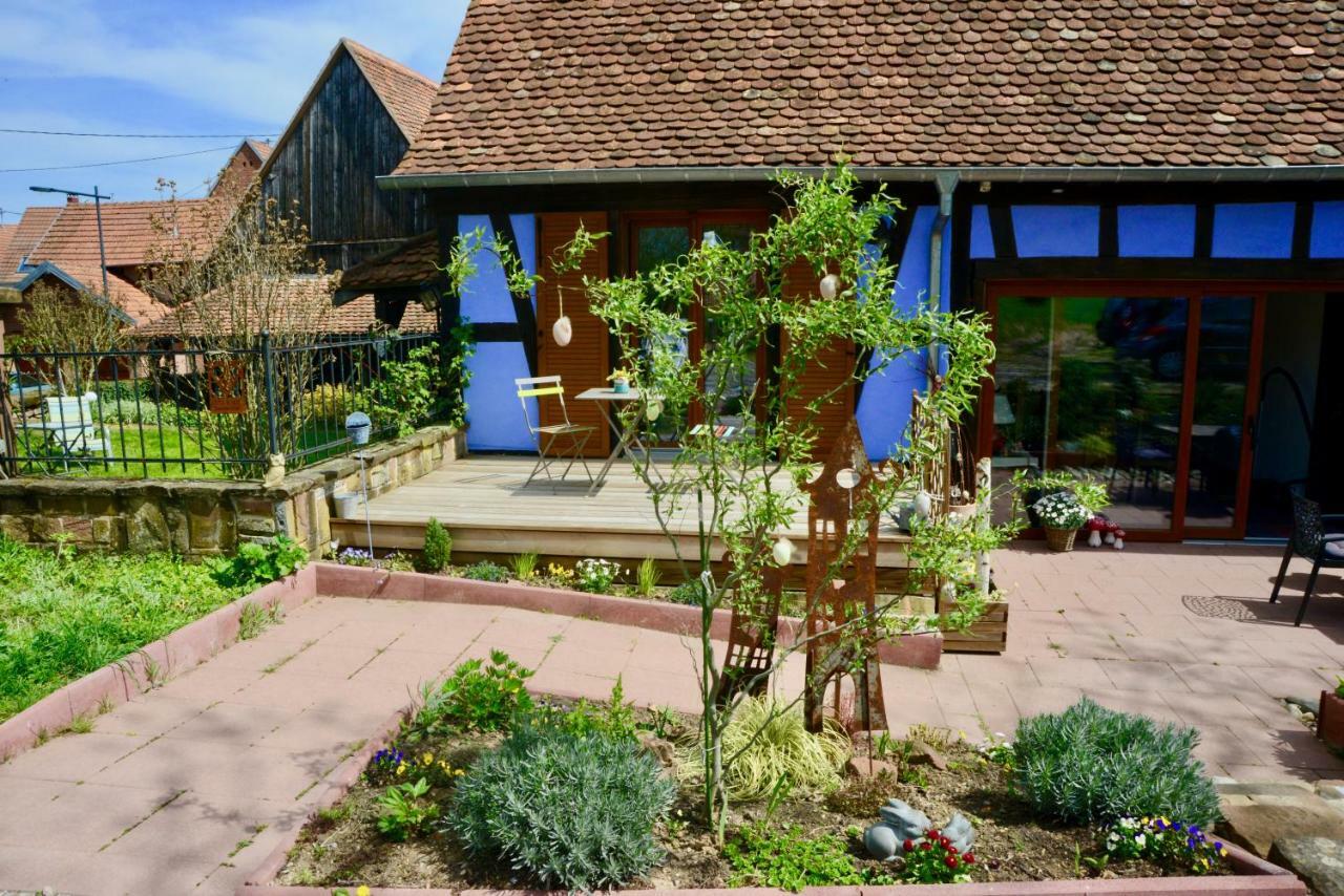 Le Clos Bleu - Gite Rural Schillersdorf 외부 사진