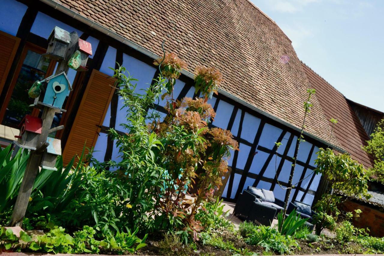Le Clos Bleu - Gite Rural Schillersdorf 외부 사진