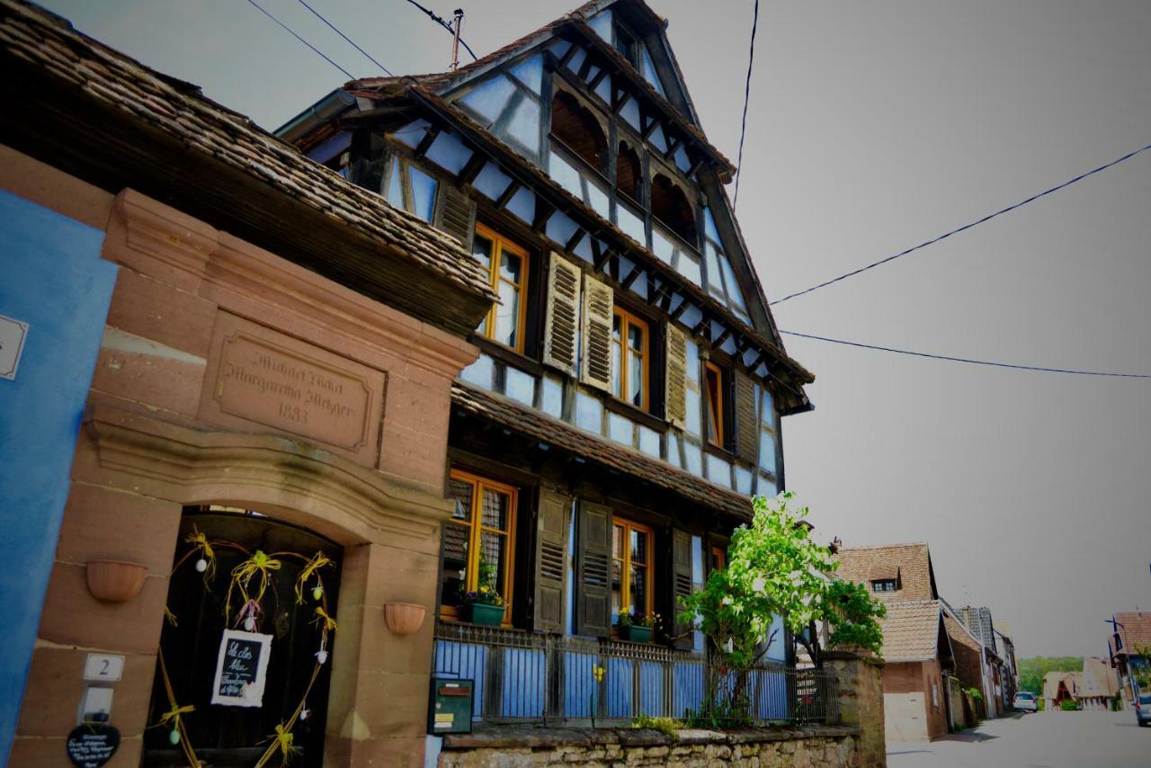 Le Clos Bleu - Gite Rural Schillersdorf 외부 사진